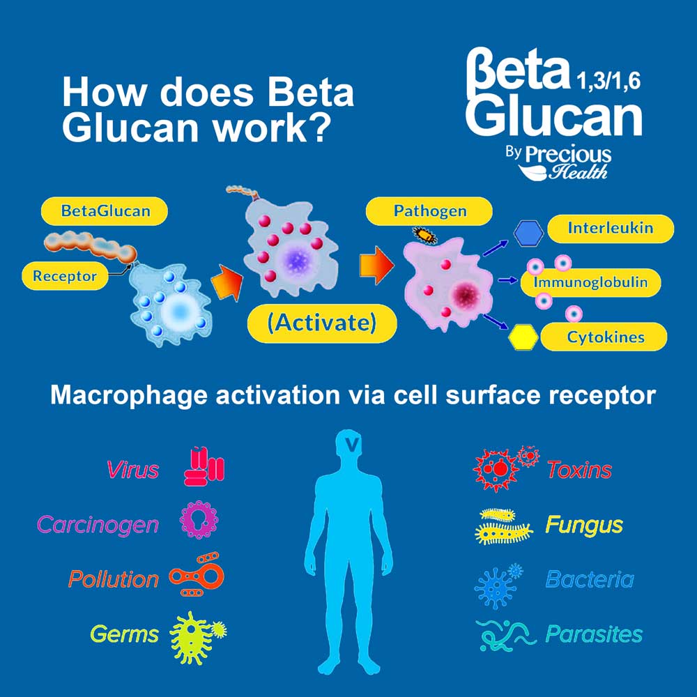 Beta Glucan 1,3 & 1,6 - 60 Capsules - Image 3